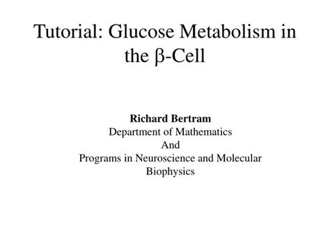 Ppt Tutorial Glucose Metabolism In The B Cell Powerpoint