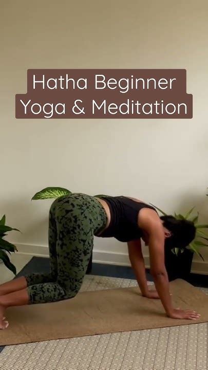 30 Minute Hatha Yoga Flow For Beginners Yoga For Morning Routine