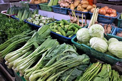 Obst Und Gem Se Richtig Lagern