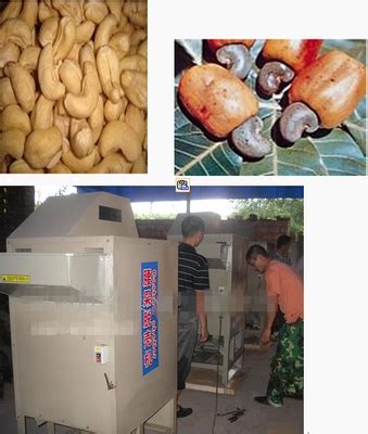 Cashew Shelling Machine At Best Price In Zhengzhou Henan