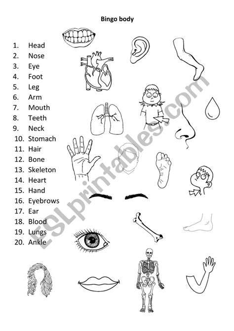 Body Bingo Esl Worksheet By Futima