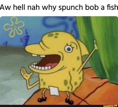 Aw Hell Nah Why Spunch Bob A Fish Ifunny