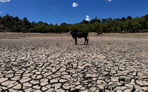 Productores De La UgrCh Invitan A Misa Para Pedir Por La Lluvia En