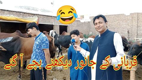 Qurbani K Janwar Dekhnay Bachay A Gay Chan Tv Network Youtube