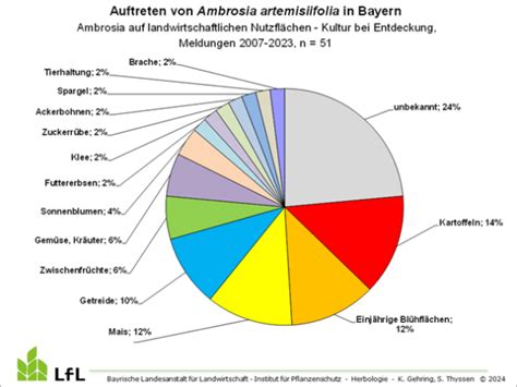 Gesundheitsproblem Ambrosia Erkennen Und Bek Mpfen Lfl