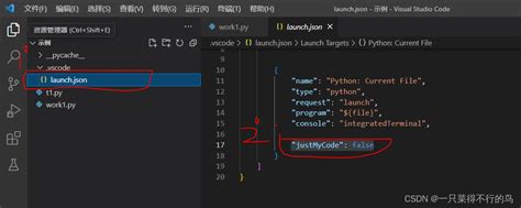 Vscode中python调试的断点失效vscode打断点没反应 Csdn博客