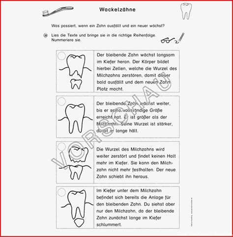 Zähne Arbeitsblätter Grundschule 5 Designs Im Jahr 2022 Kostenlose
