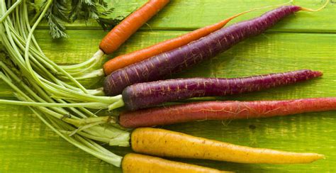 The Ultimate Guide To Cooking Root Vegetables Youd Have To Be Crazy