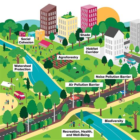 Why Do Urban Forests Matter? - Cities4Forests