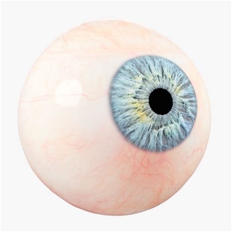 Modelo 3d Photorealistic Human Eye High Quality Multicolor And Animated