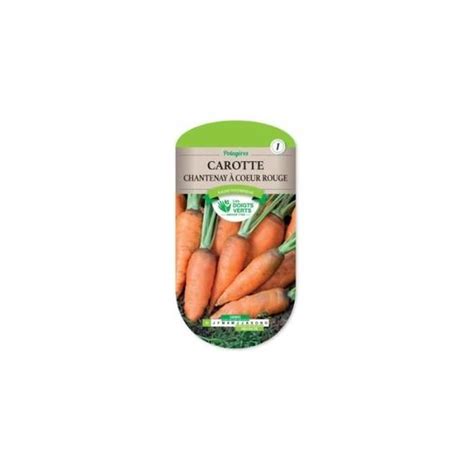 Semence Carotte Chantenay à Coeur Rouge Cdiscount Jardin