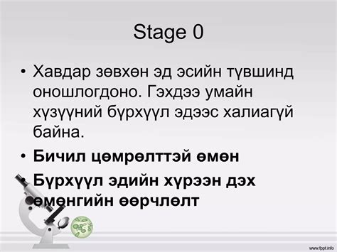 умайн хүзүүний хорт хавдар | PPT
