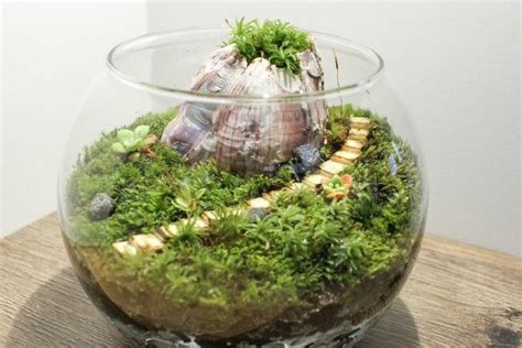 15 All Inclusive Terrarium Kits To Help Naturally Brighten Your Home