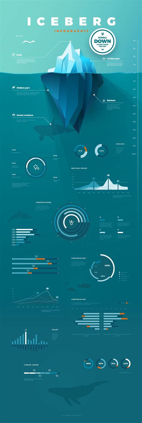 Iceberg Infographic Creative Infographic Infographic