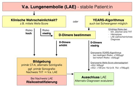 Notfallguru Dyspnoe Respiratorische Insuffizienz