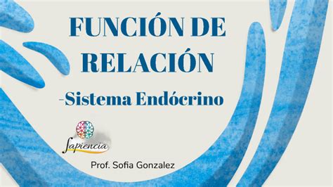 U9 FUNCIÓN DE RELACIÓN Sistema Endócrino by Sofia Gonzalez on Prezi Next