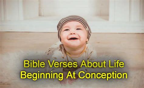 20 Bible Verses About Life Beginning At Conception KJV Scripture