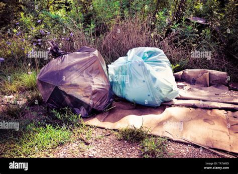 Illegal Dumping In The Nature Garbage Bags Left In The Nature Toned