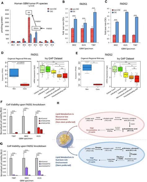 Fatty Acid Desaturases Are Upregulated In CSCs And Required For CSC