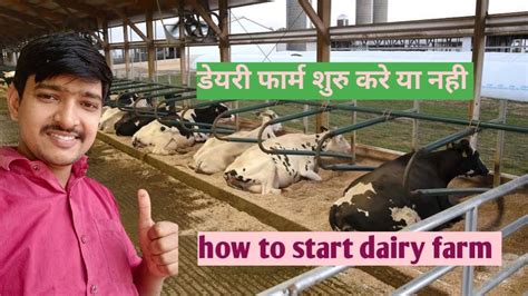 How To Start Dairy Farm Dairy Farm Kese Shuru Kare Youtube