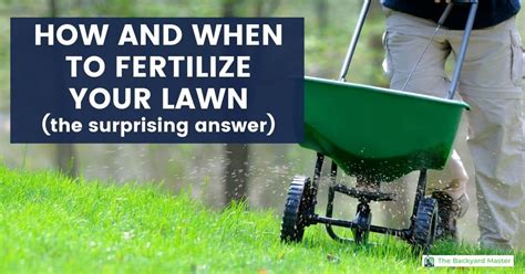 How Often Should I Fertilize My Lawn The Surprising Answer The