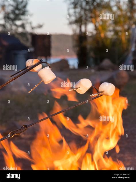 Camping food marshmallow Stock Photo - Alamy