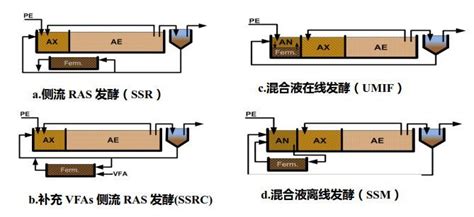 刘智晓生物除磷理论及实践新突破：从主流ebpr到侧流ebpr工艺