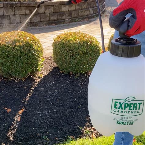 Walmart Expert Gardener 16133 1 Gallon Multi Purpose Poly Tank Sprayer