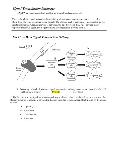 Chapter 11 Signal Transduction Pathways Signal Transduction