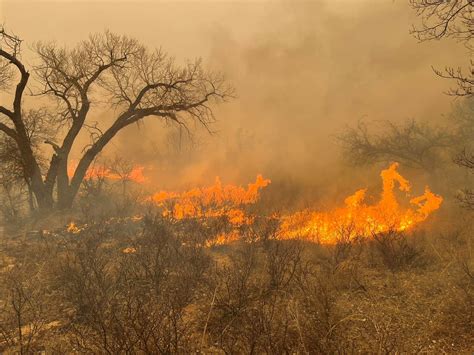 Texas wildfires, including second-largest on record, rage across ...