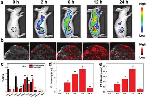 In Vivo Imaging Of Hela Tumor Bearing Mice Post Iv Injection Of