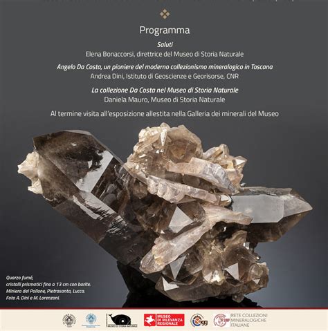 Meraviglie Mineralogiche Della Toscana Lacquisizione Della Collezione