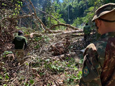 DefesaNet Verde Brasil Batalhão de Infantaria Motorizado apreende