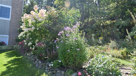 How best to approach cleaning up your garden in the fall