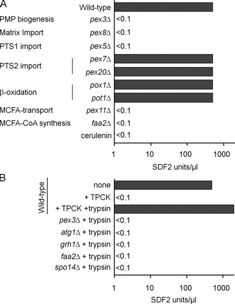 Acb Secretion In Mutants Affecting Peroxisome Biogenesis And