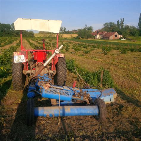 DRUKČIJA POLJOPRIVREDA Od lješnjakovog brašna do sjemenki konoplje