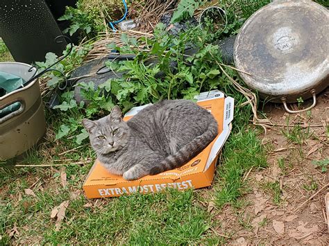 6023 Best Lounging Images On Pholder Room Porn Hardcoreaww And Cozy Places