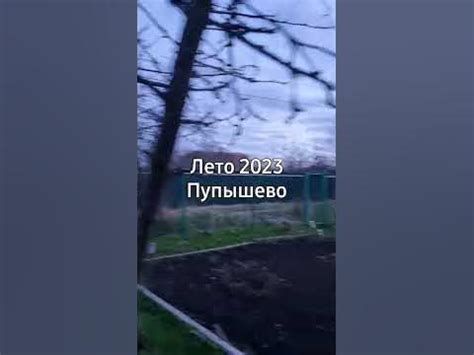 Пупышево - YouTube