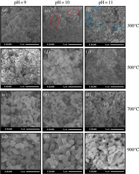 Wet Chemical Synthesis Of Nanocrystalline Hydroxyapatite Flakes Effect