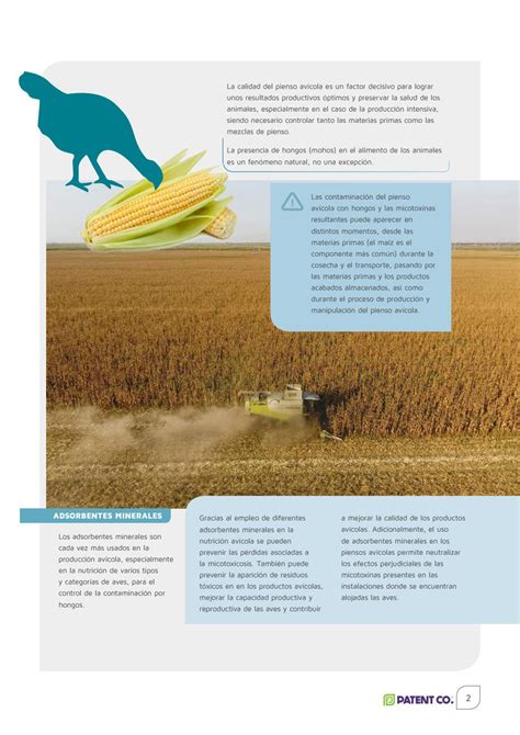 EFECTO de los ADSORBENTES MINERALES en la PRODUCCIÓN AVÍCOLA by