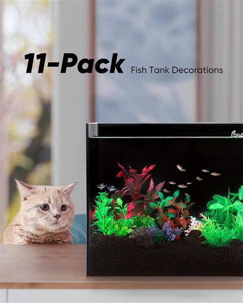 Amazon PONDON 5 Gallon Fish Tank With Fish Tank Decorations