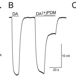 Phendimetrazine (PDM) effects on either dopamine- (DA) or... | Download Scientific Diagram