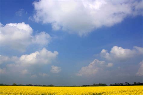 Fotos Gratis Paisaje Naturaleza Césped Horizonte Nube Cielo