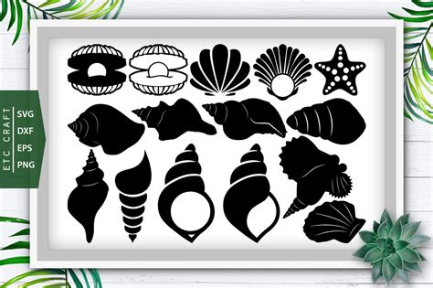 Seashell Svg Cut File Sea Svg Silhouette Bundle Crella