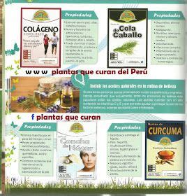 Plantas Que Curan Del PERU CATALOGO Aue