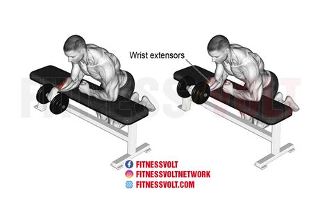 Build Powerful Forearms With Dumbbell One Arm Reverse Wrist Curl