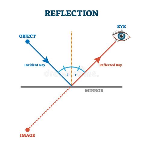 Esquema De Raio De Reflexão Diagrama De Ilustração Do Vetor Ilustração