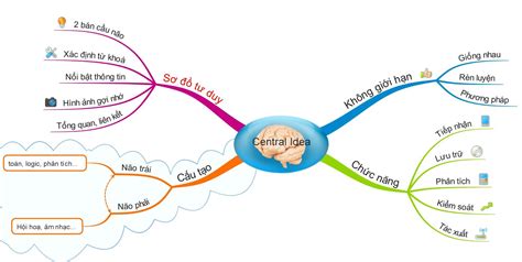 Bài Giảng Vẽ Sơ đồ Tư Duy Sinh Học Lớp 8 Học Tốt Lớp 8