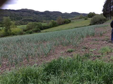 La Biodiversità Agraria Alla Sfida Del Farm To Fork Rete Semi Rurali