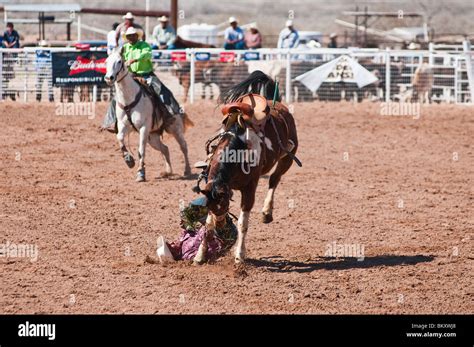 A Cowboy Competes In The Saddle Bronc Riding Event During The Oodham